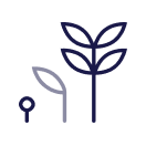 Growth pictogram